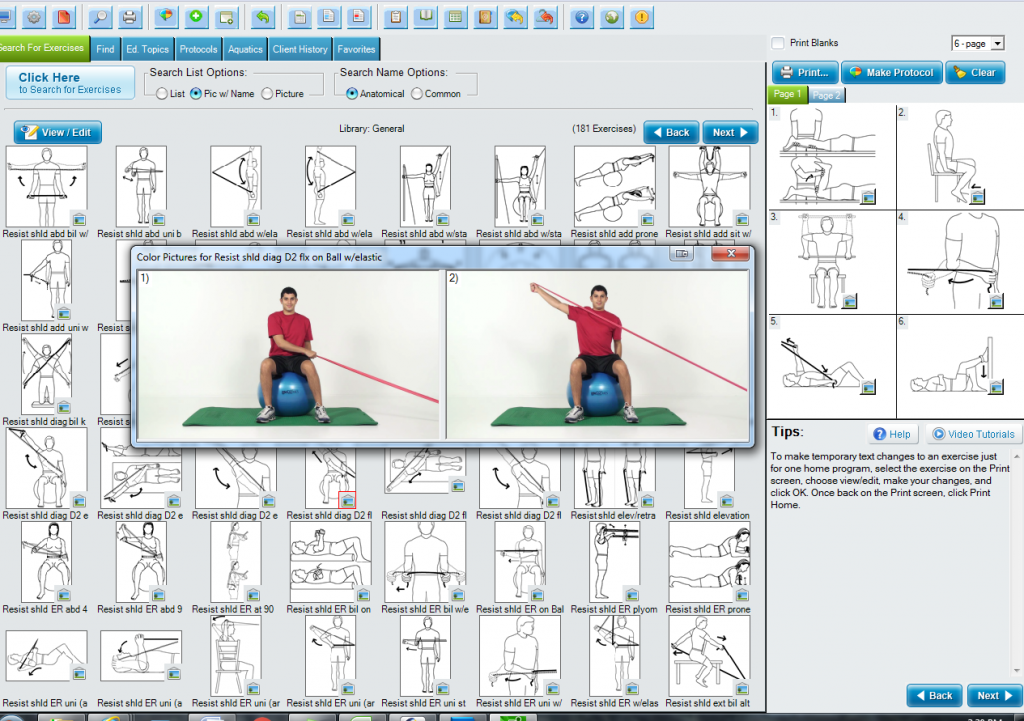 Physical Therapy Exercise Software – Exercise Pro Desktop | Exercise ...